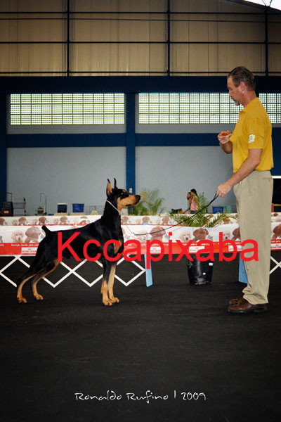 Clique sobre a foto para fechar